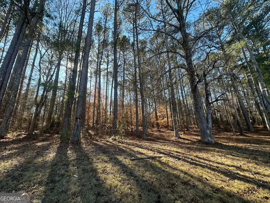 0 Hard Rock Road, Oxford, GA 30054 - #3