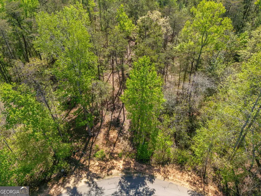 0 Red June Lot 1318 & 1309 Lane, Clarkesville, GA 30523 - #2
