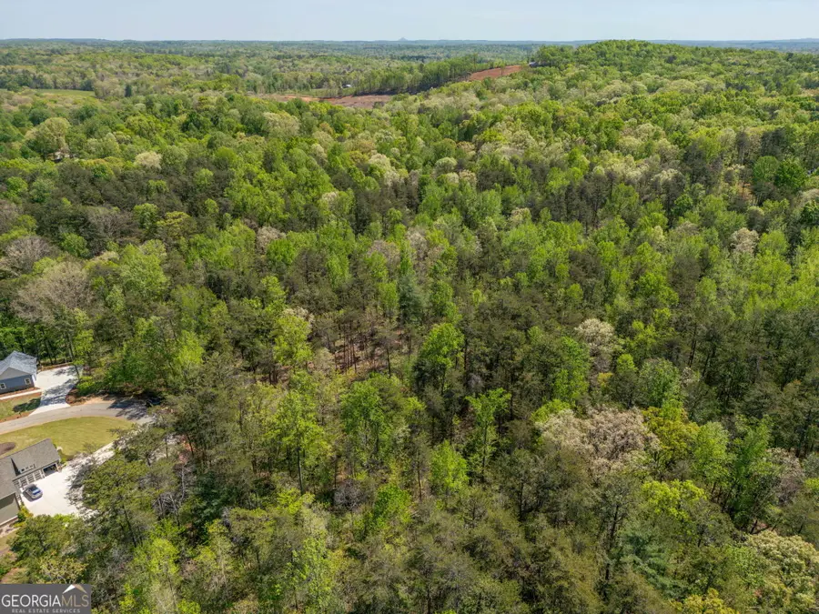 0 Red June Lot 1318 & 1309 Lane, Clarkesville, GA 30523 - #3