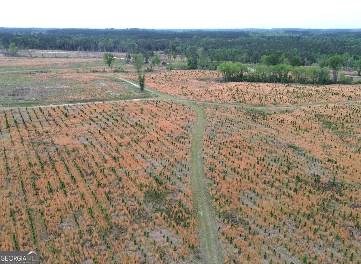 006 Beulah Road Tract 6, Sylvania, GA 30467 - #1