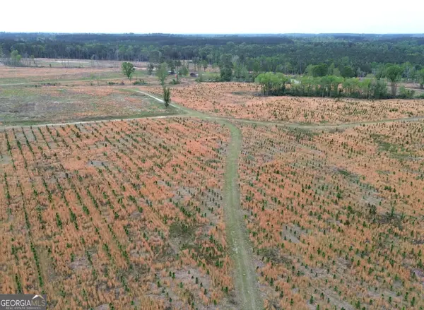 006 Beulah Road Tract 6, Sylvania, GA 30467