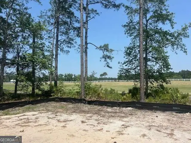 105 Lone Pine Court, Waverly, GA 31565 - #2