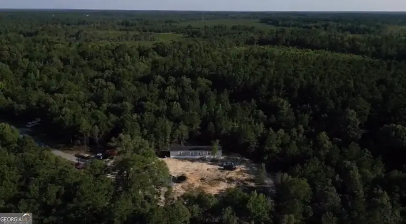 1667 Richard Moore Road, Dublin, GA 31021 - #3