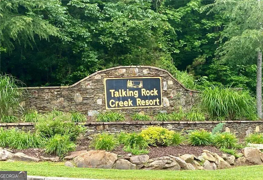 585 Galaxy Way, Ranger, GA 30734 - #2