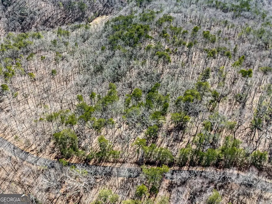 0 Outback Road #87, Jasper, GA 30143 - #3