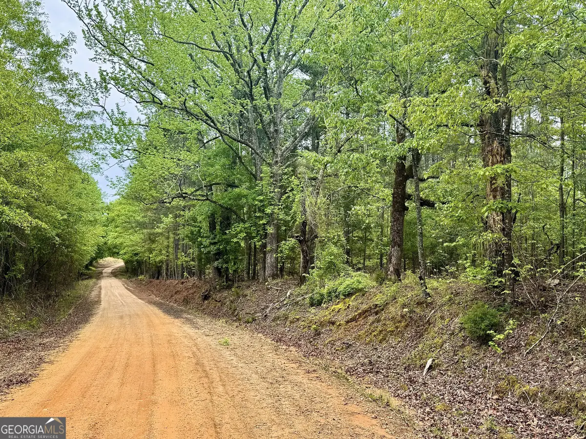 1085 Roy Lawrence Road, Sparta, GA 31087 - #1