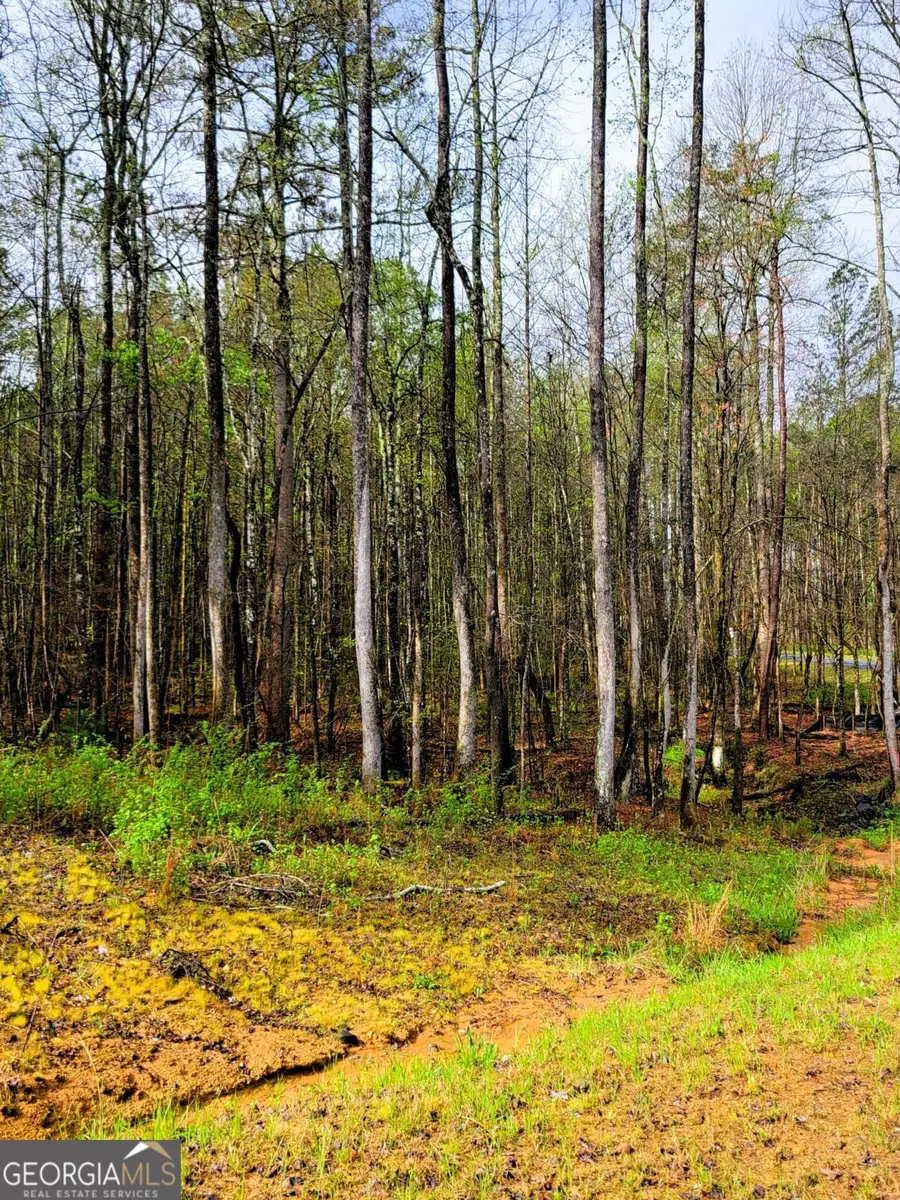 22 Mountaingate Way, Ellijay, GA 30536 - #2