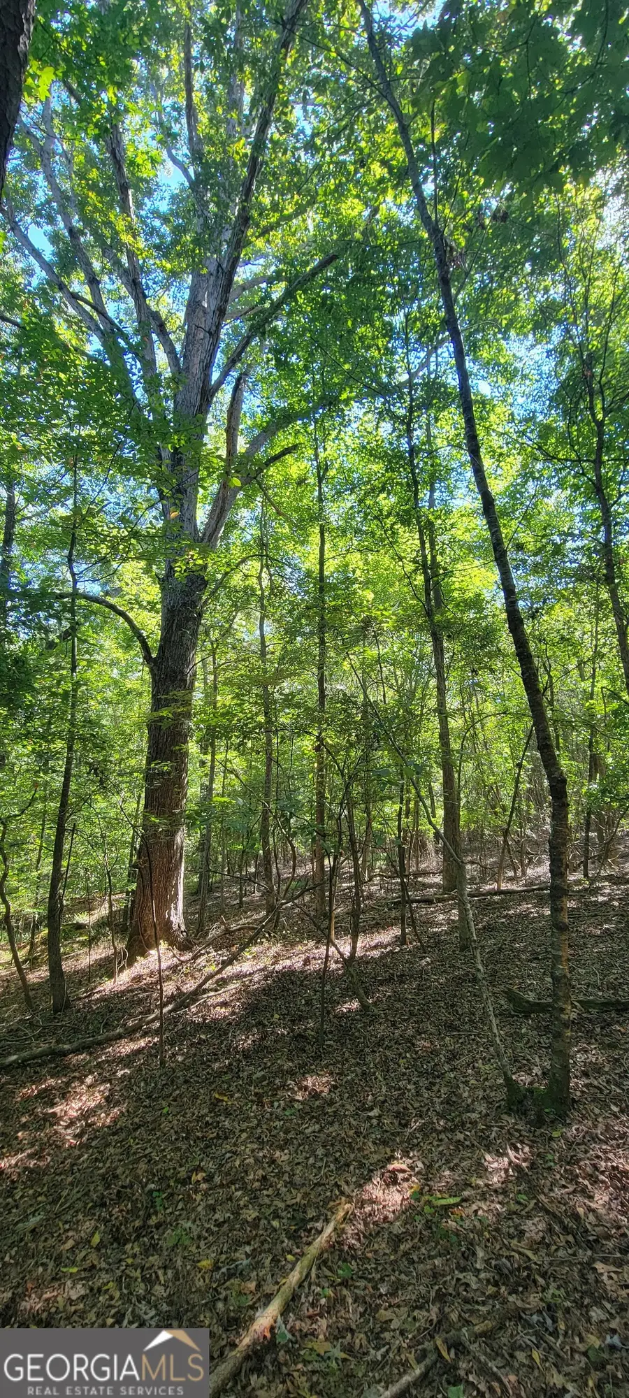 5 Ripplewood Trail, Euharlee, GA 30145 - #2