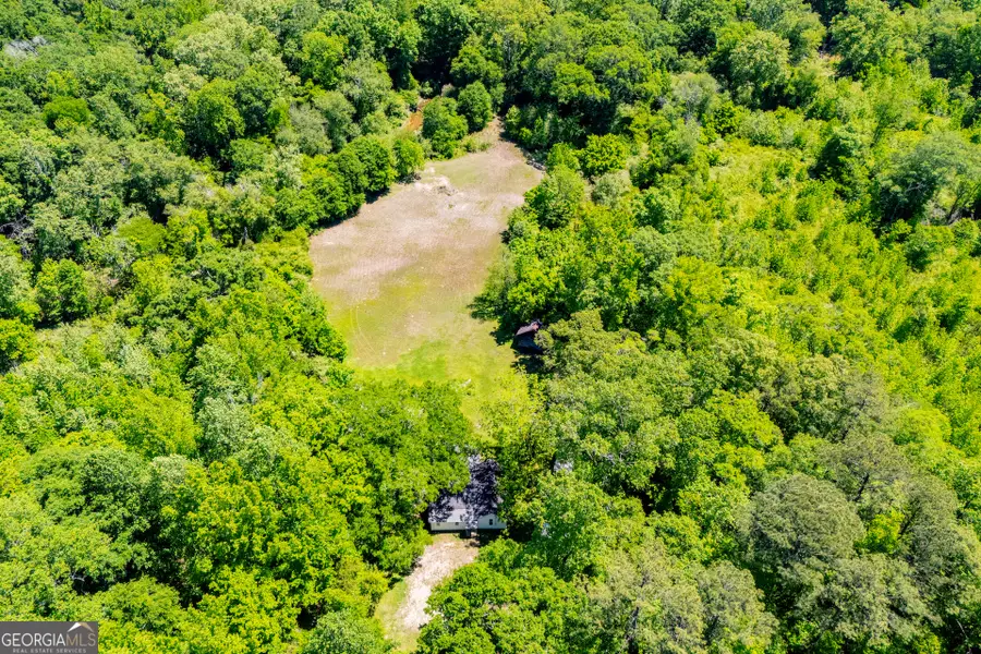 857 Jones Mill Road, Whitesburg, GA 30185 - #2