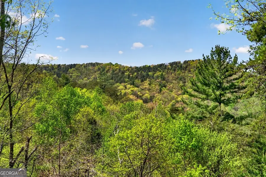 564 Weaver Creek Lane, Blue Ridge, GA 30513 - #3