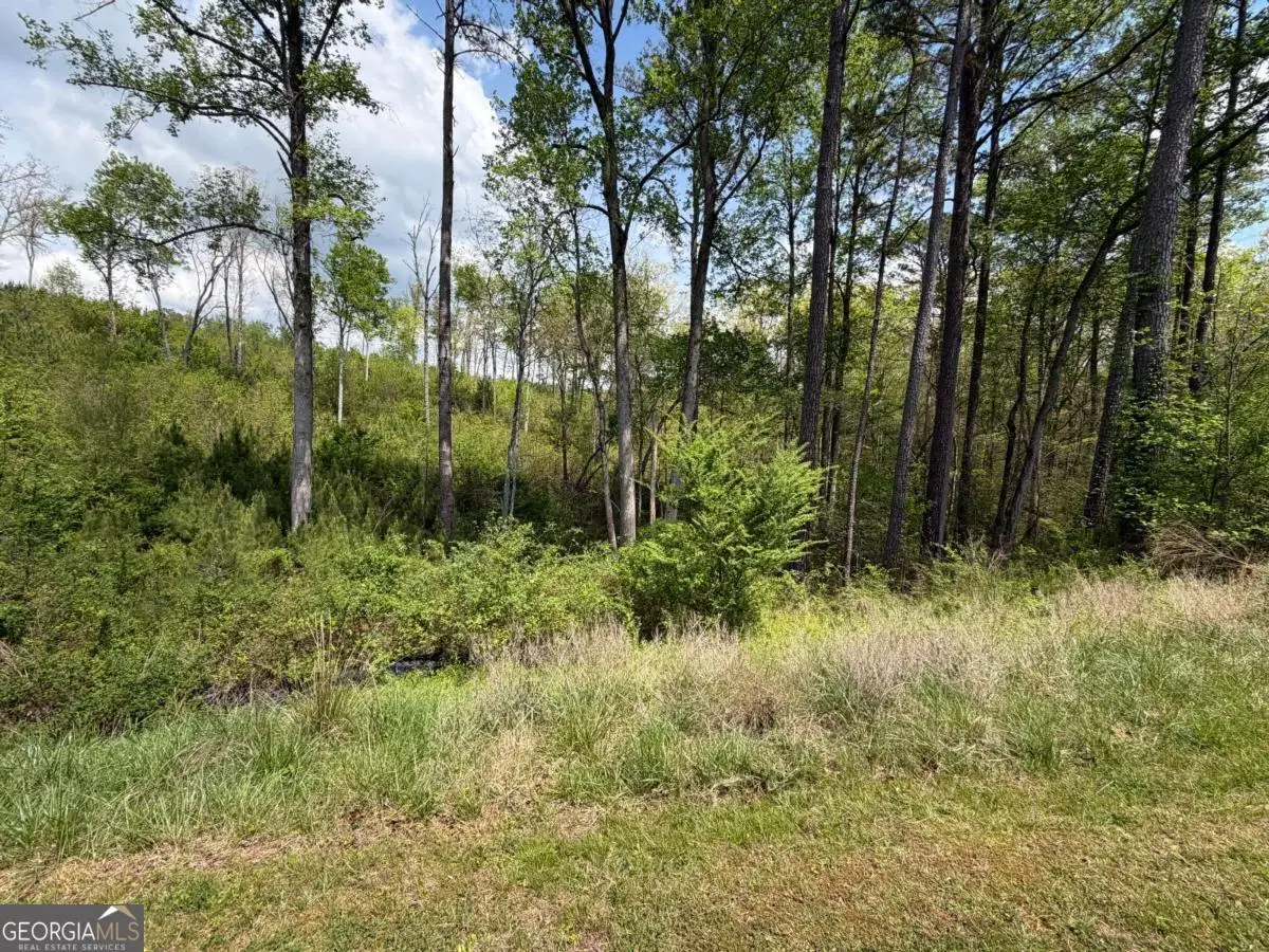 238 Lecroy Drive, Ellijay, GA 30540 - #1