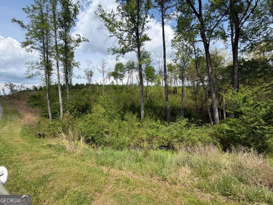 238 Lecroy Drive, Ellijay, GA 30540 - #2