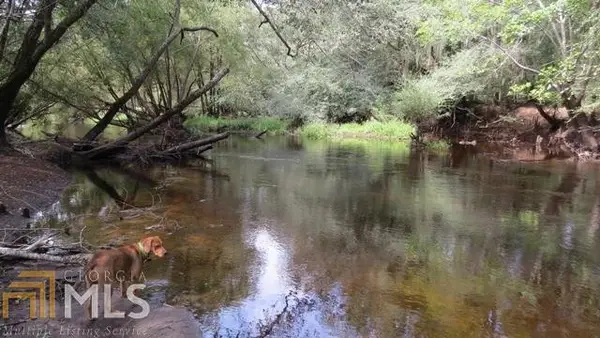 0 Area Line Road, Claxton, GA 30417