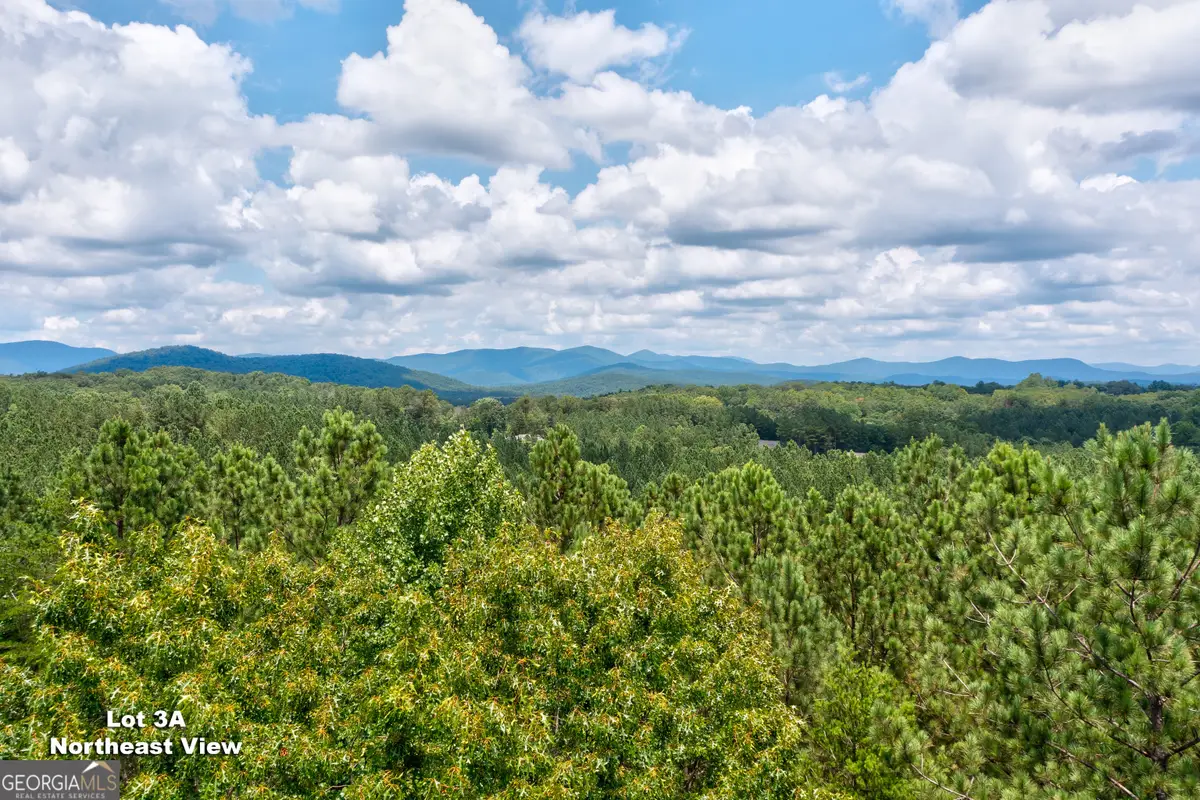 125 Patriot View Drive, Dahlonega, GA 30533 - #1