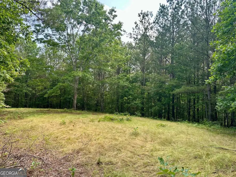 125 Patriot View Drive, Dahlonega, GA 30533 - #2