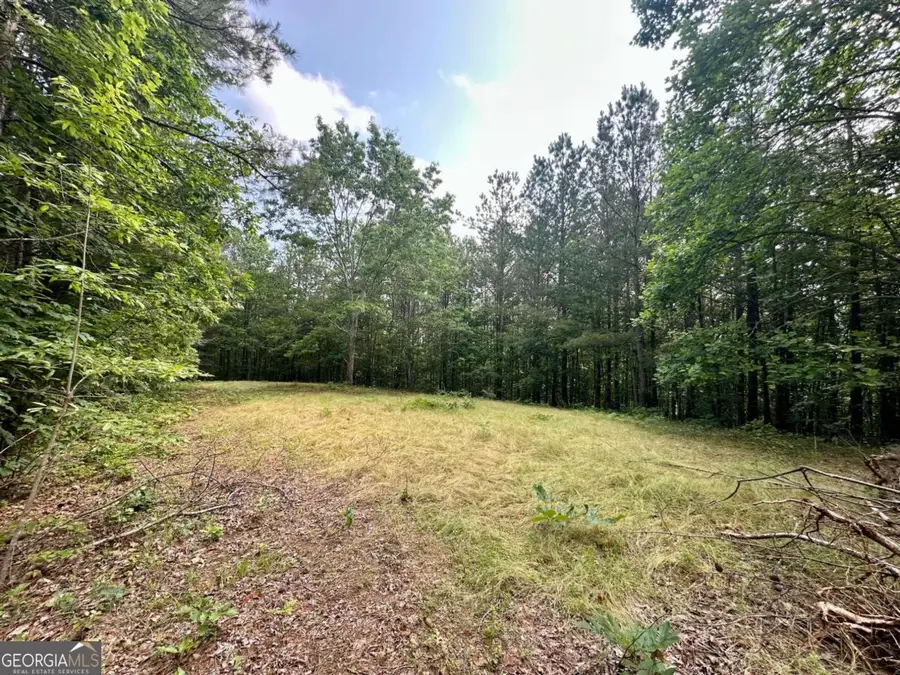 125 Patriot View Drive, Dahlonega, GA 30533 - #3