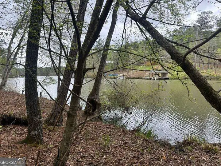LOT #3 Frontier Shores Road, Sparta, GA 31087 - #1