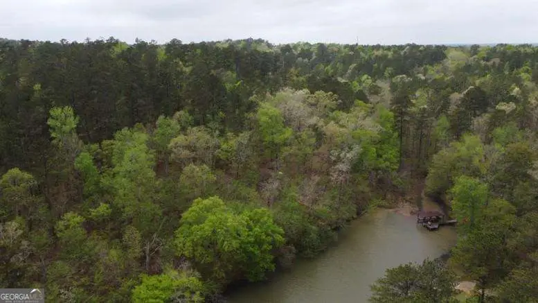 LOT #3 Frontier Shores Road, Sparta, GA 31087 - #2