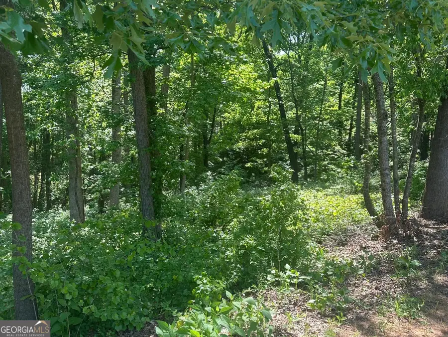 0 Hammers Glen Drive #LOT 10, Homer, GA 30547 - #3