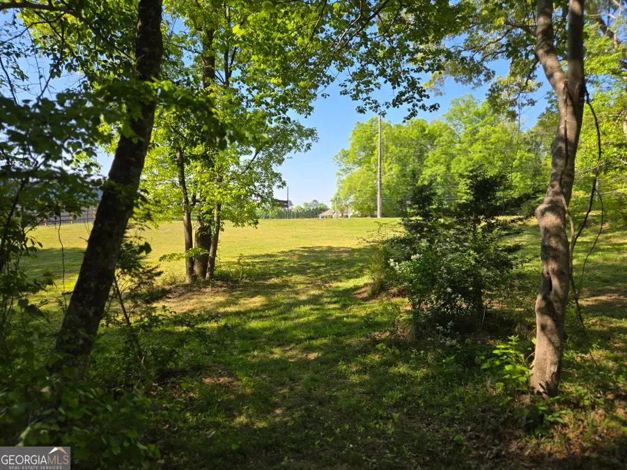 1.9 Hwy 197 S, Clarkesville, GA 30523 - #3