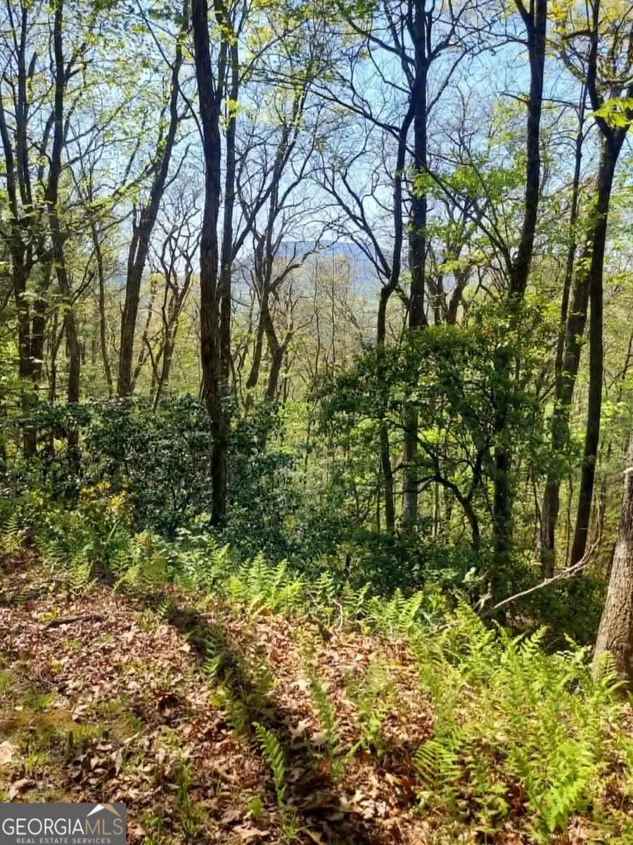 0 LOT 40 Pipetrack Gap Road, Scaly Mountain, NC 28775 - #2