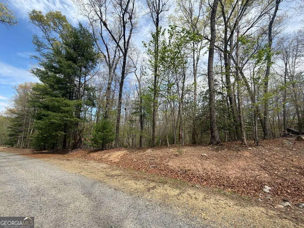 # 2 Amber Way, Morganton, GA 30560 - #1