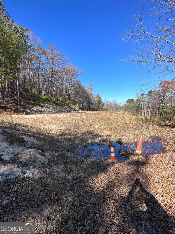 245 Beracah Walk Sw, Atlanta, GA 30331