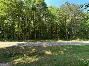 1 Tract 1 Ethridge Road, Jefferson, GA 30549 - #1