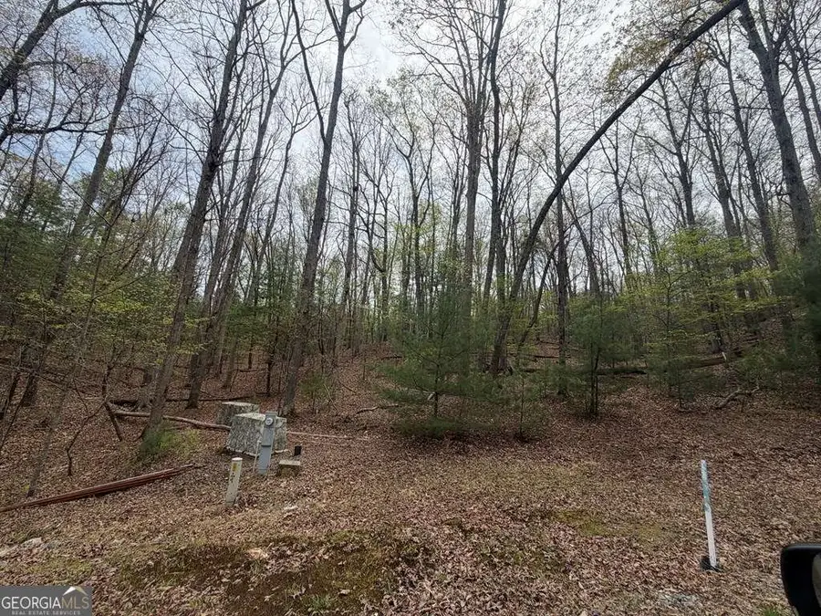 #16 Christian Crossing, Morganton, GA 30560 - #2