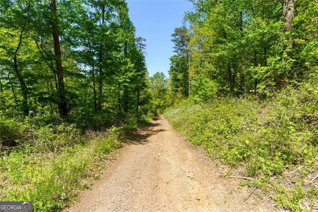 0 Fire Tower Road #LOT 7, Jasper, GA 30143 - #1