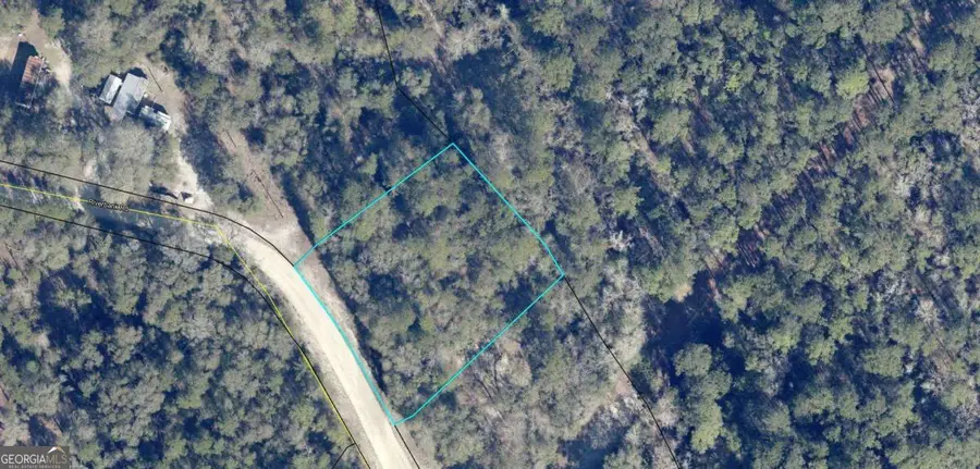 LOT 7 Riverbank Road, Reidsville, GA 30453 - #2