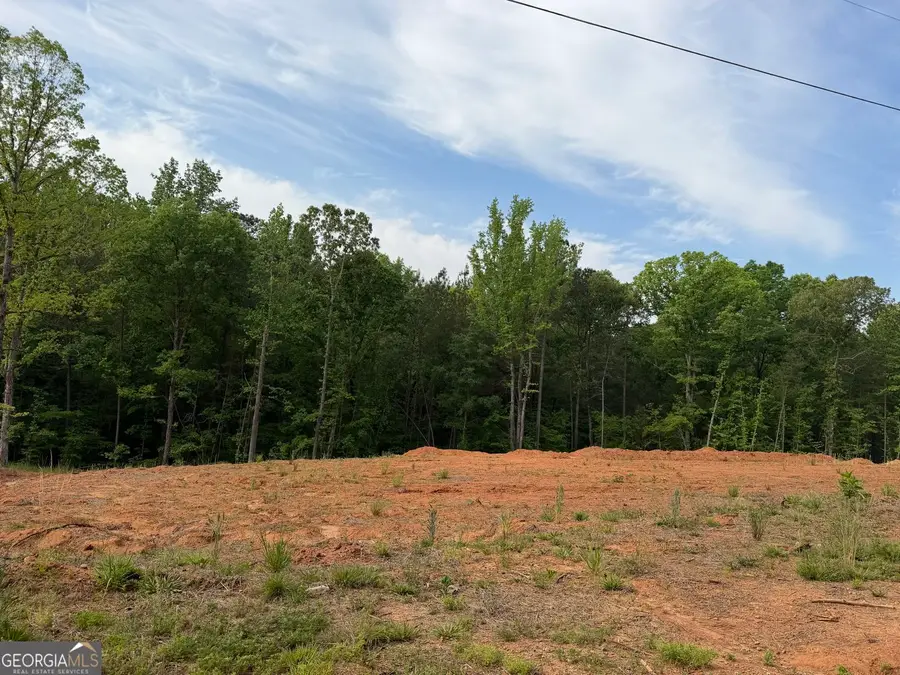 1492 English Road, Forsyth, GA 31029 - #3