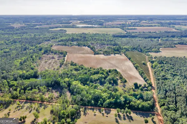 0 Daffodil Rd, Ocilla, GA 31774