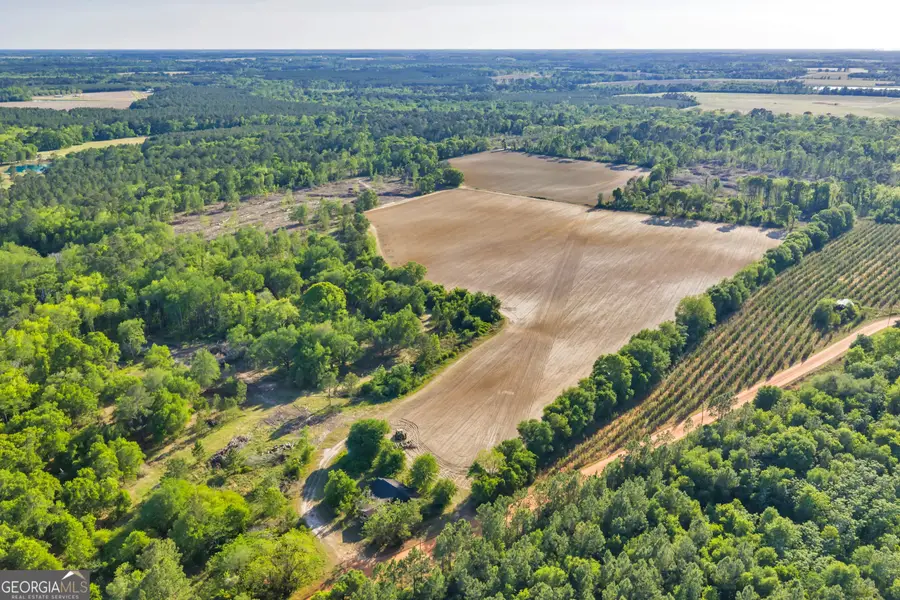 0 Daffodil Rd, Ocilla, GA 31774 - #3