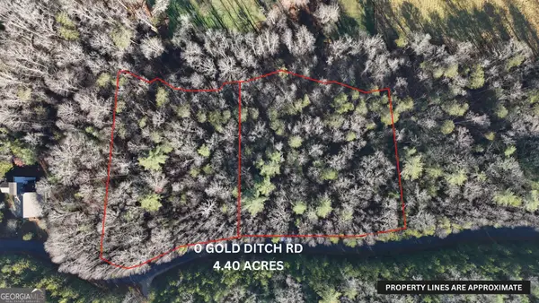 LOT 10 Gold Ditch Road, Cleveland, GA 30528
