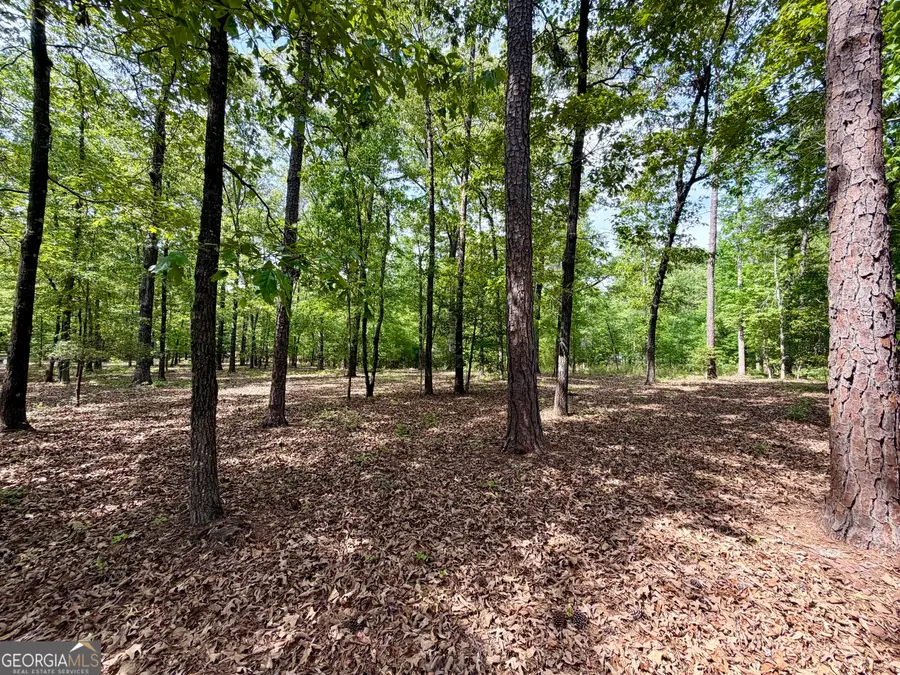 0 Deer Creek Trail #LOT 12, Dublin, GA 31021 - #2