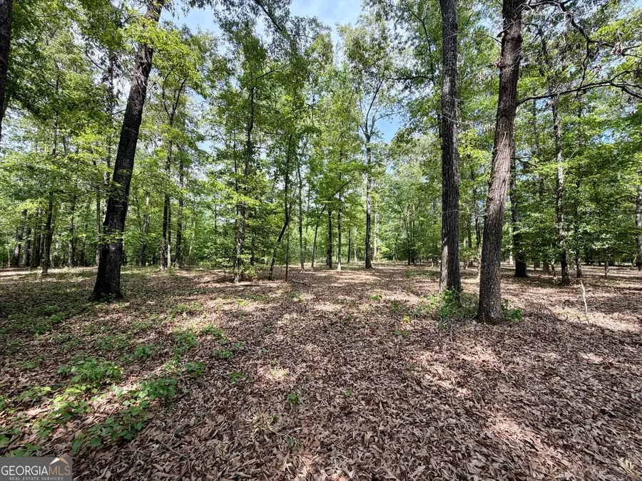 0 Deer Creek Trail #LOT 12, Dublin, GA 31021 - #3