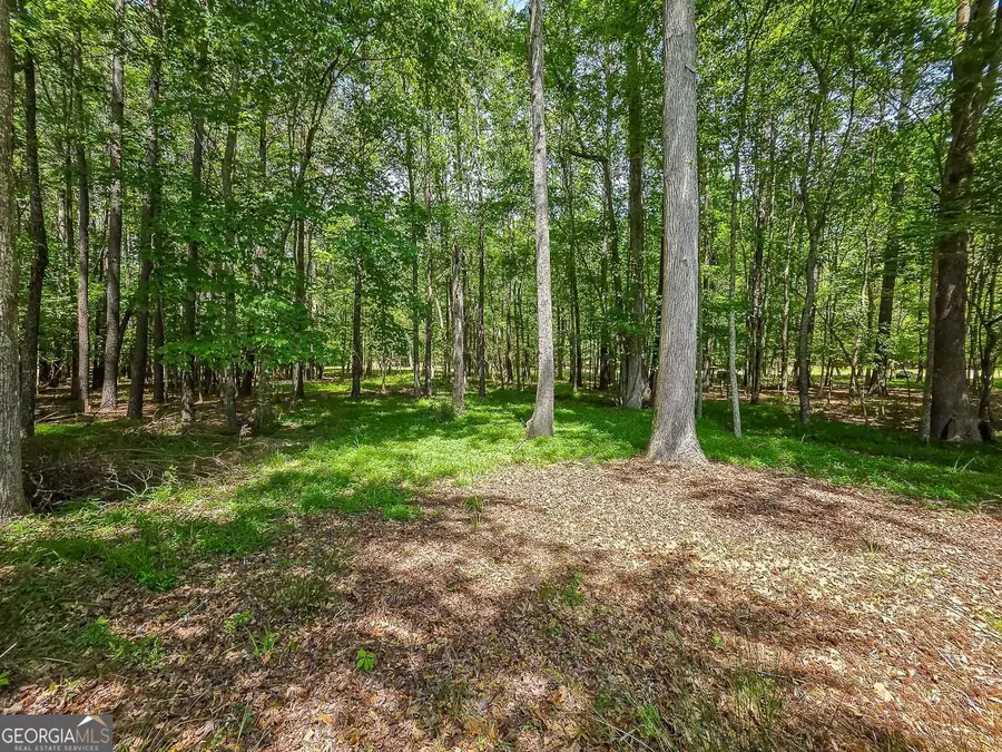 3283 Mcever Park Circle, Acworth, GA 30101 - #3