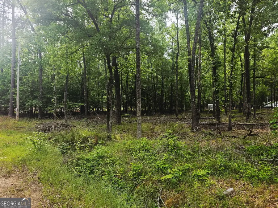 0 Island Creek, Sparta, GA 31087 - #2