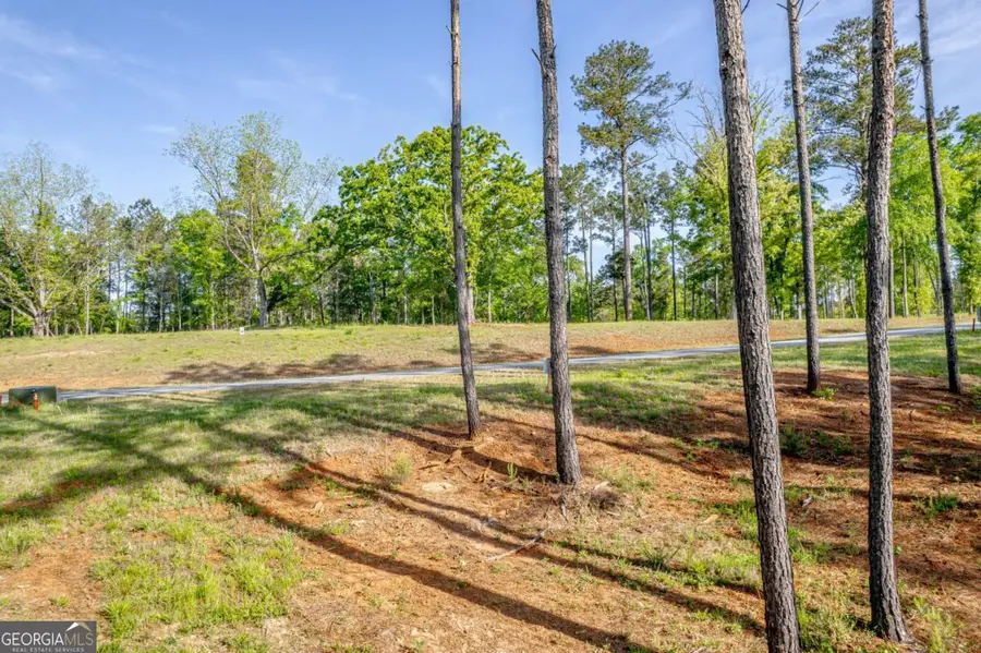 203 Falls Lane, Milledgeville, GA 31061 - #3