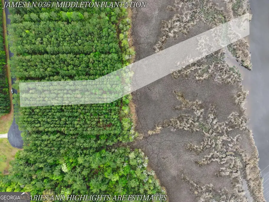 LOT 36 James Lane, White Oak, GA 31568 - #2