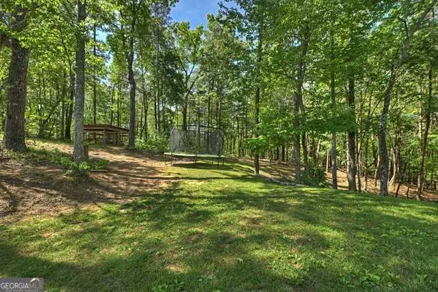 410 Knight Drive, Ellijay, GA 30540 - #2