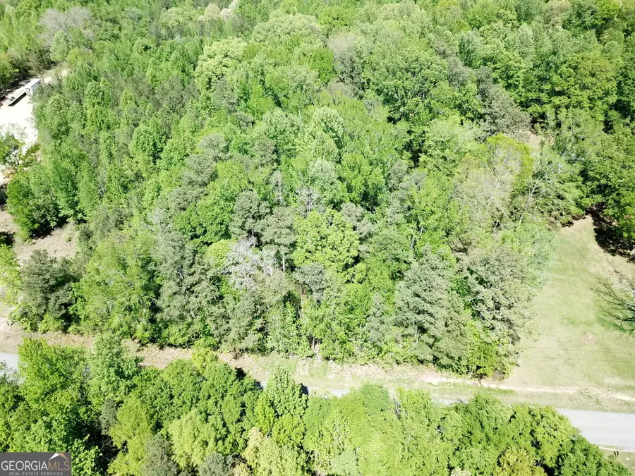 0 Waddell Road, Bremen, GA 30110 - #3