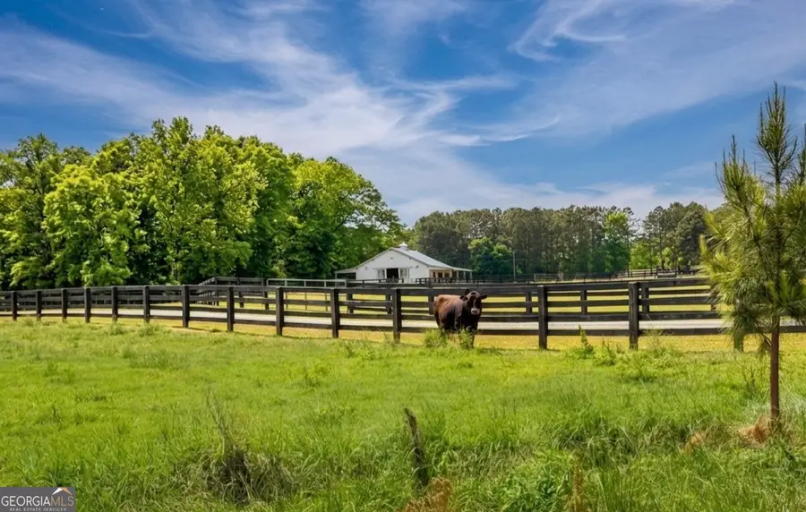 901 Line Creek Road, Senoia, GA 30276 - #2