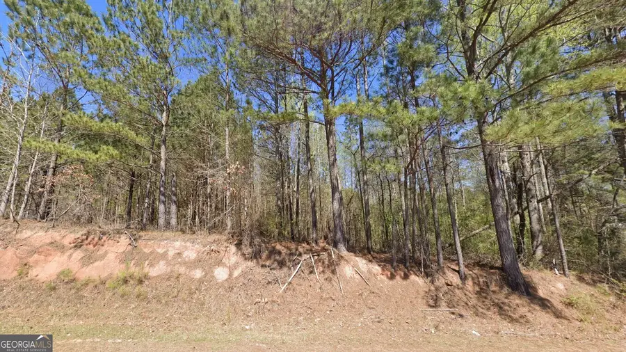 609 Leonard Road, Lagrange, GA 30241 - #2