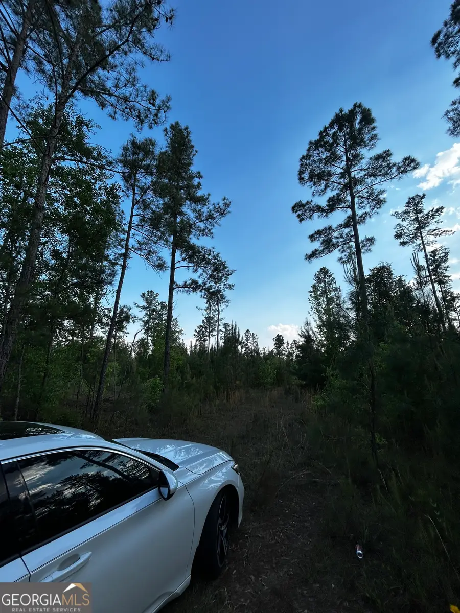 193 Deepstep Road, Milledgeville, GA 31061 - #3