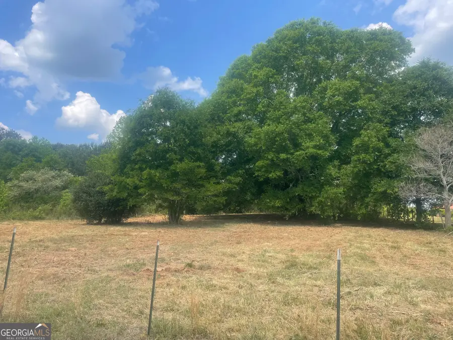00 Thankful Road, Madison, GA 30650 - #2