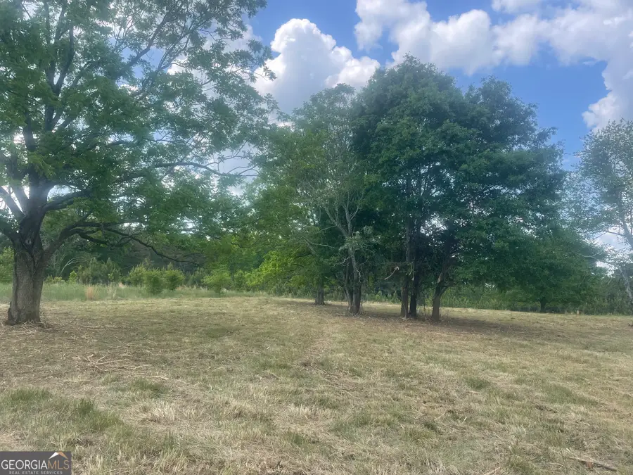 00 Thankful Road, Madison, GA 30650 - #3