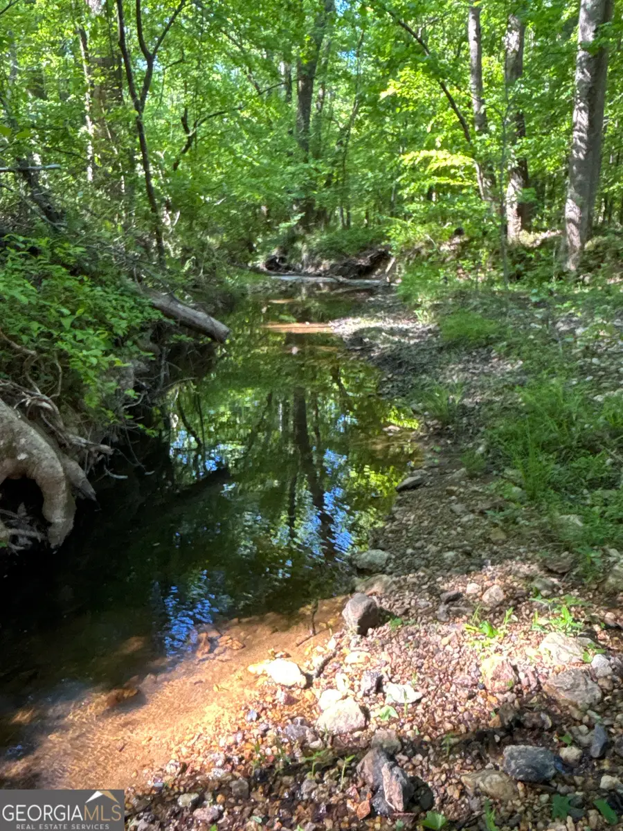 370 Pleasant Hill Road, Rockmart, GA 30153 - #2