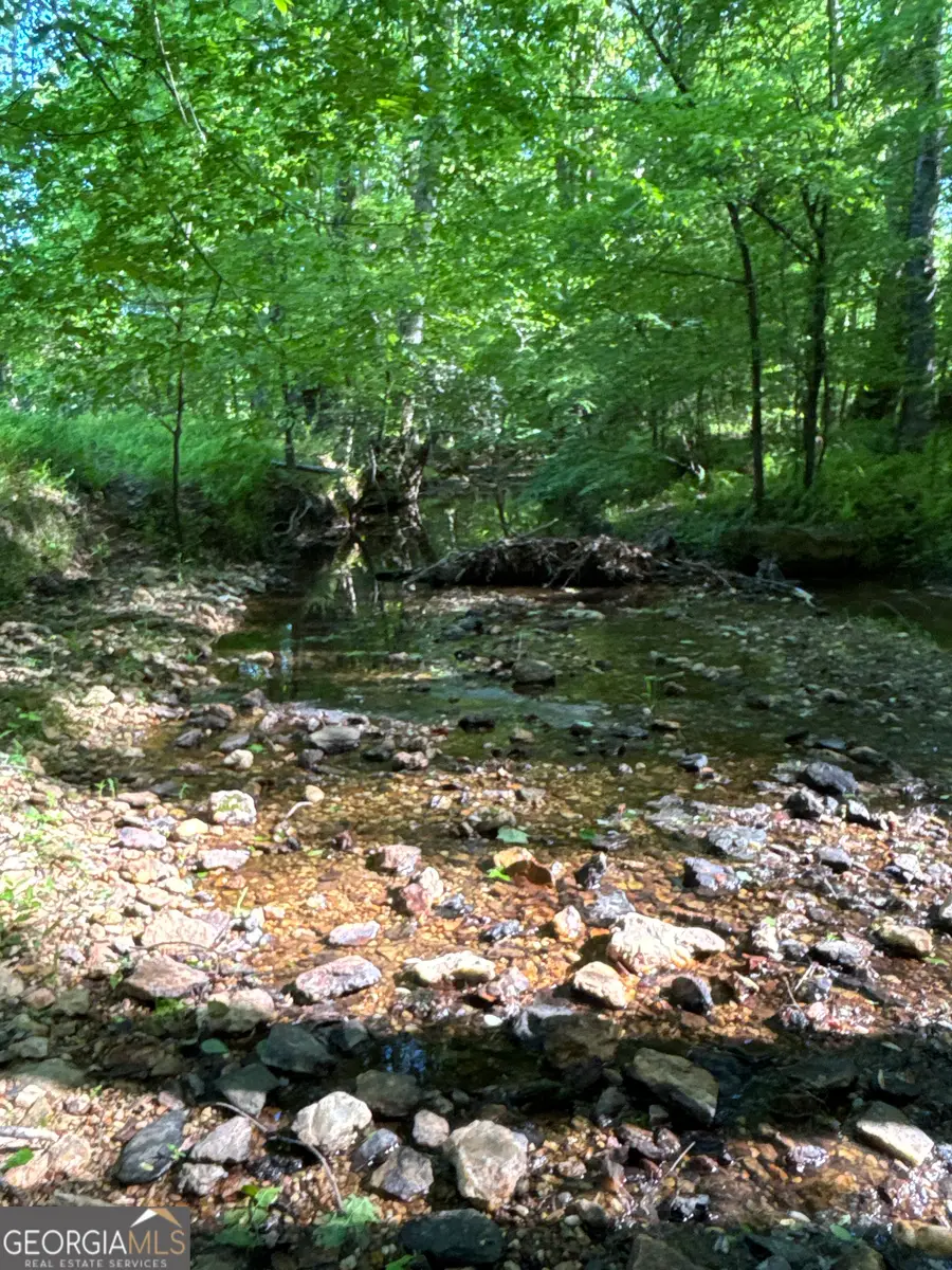 370 Pleasant Hill Road, Rockmart, GA 30153 - #3